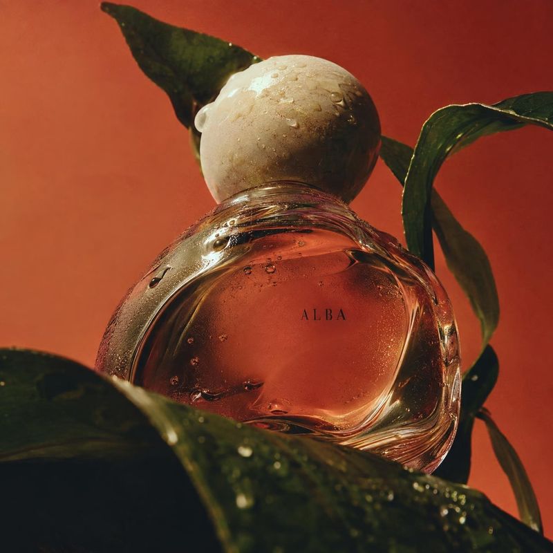 perfume bottle close-up detail product photo: A dewy glass perfume bottle with a rounded pale cap sits among dark green leaves against a warm terracotta backdr…