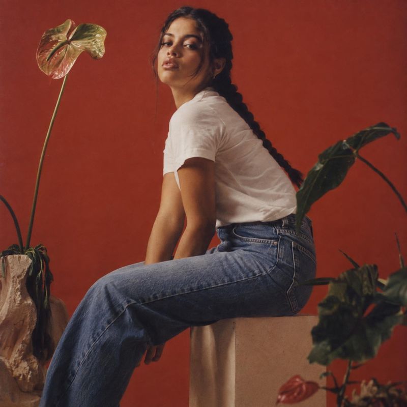 jeans look book product photo: A model in a white T-shirt and blue jeans sits among leafy plants against a warm terracotta studio backdrop, with soft light and…