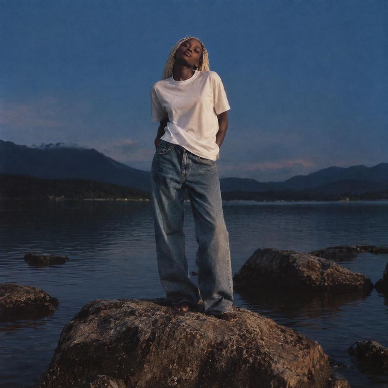 jeans and T-shirt look book product photo: A model in a white T-shirt and relaxed blue jeans stands on a rocky shoreline at dusk, with a calm lake and mountain…