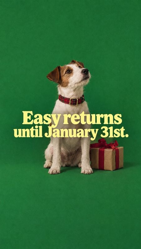 christmas product photo: A small terrier wearing a red plaid collar sits beside a red-ribboned gift against a seamless green backdrop, with bold cream-colored…