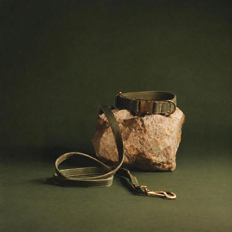 dog collar and leash pet product photo: An olive-toned dog collar and leash are artfully draped over a rough stone against a dark green studio backdrop, with w…