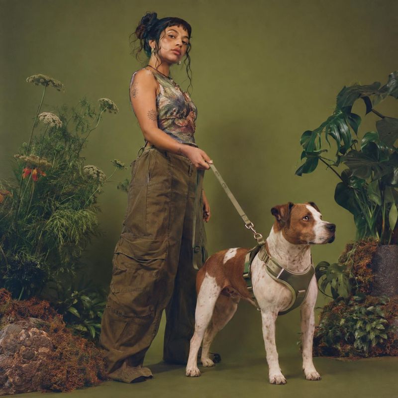 dog harness and leash pet product photo: A woman in relaxed, earthy-toned clothing holds a leash beside a brown-and-white dog wearing a harness, posed against…