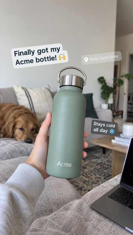 insulated bottle product in hand product photo: A hand presents a muted sage insulated bottle in a cozy living room, with a dog resting on the sofa and casual…