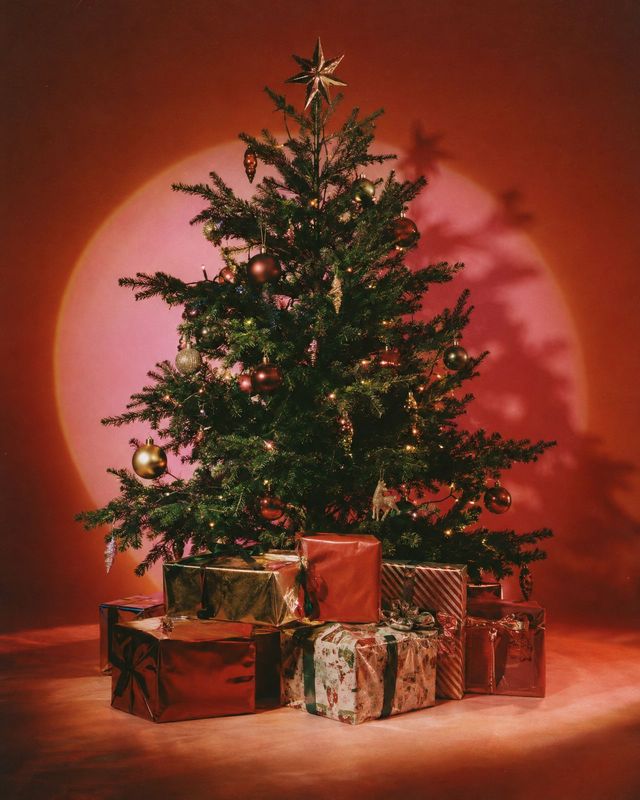 Christmas tree and gifts christmas product photo: A decorated Christmas tree surrounded by wrapped presents stands against a dramatic red backdrop, lit with wa…