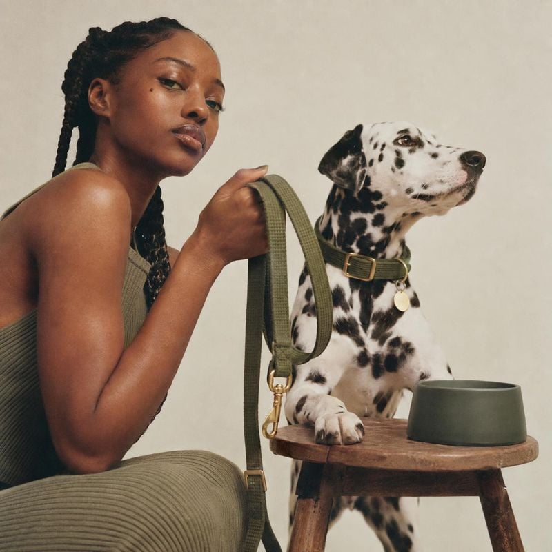 dog leash and collar pet product photo: A woman in a muted olive outfit holds a matching leash beside a Dalmatian at a wooden stool with a bowl, against a soft…