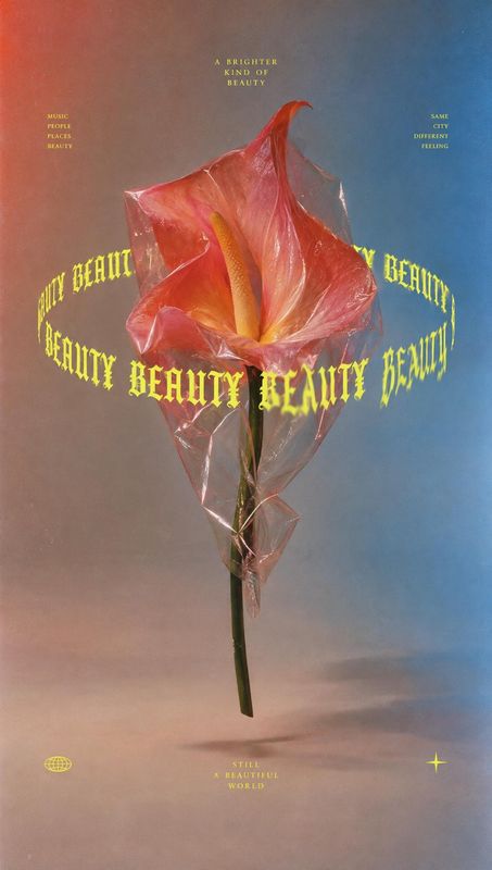 floating product product photo: A pink calla lily wrapped in translucent plastic floats against a softly blended coral-and-blue backdrop, encircled by bright y…