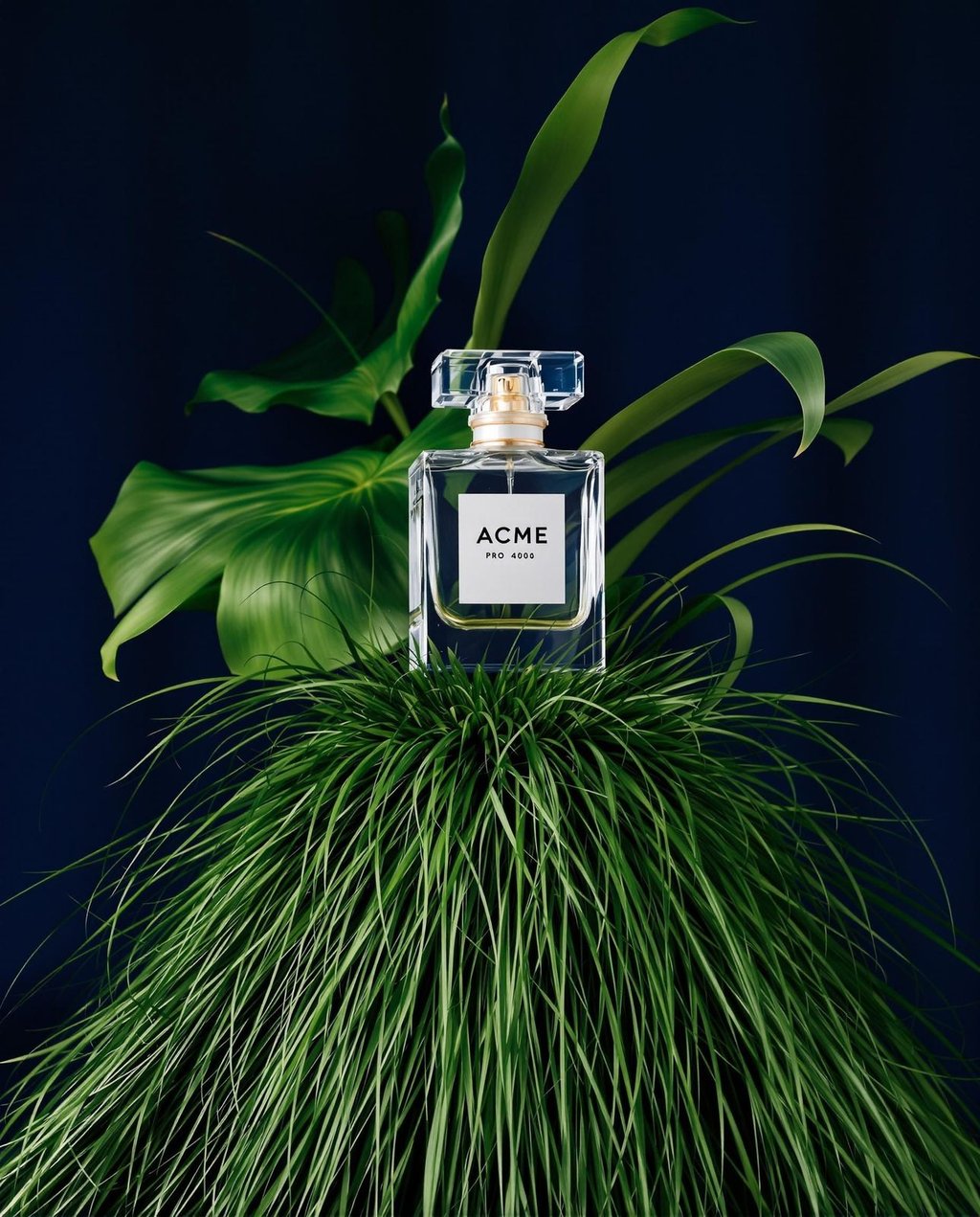 Clear square ACME perfume bottle at eye level surrounded by green grass with tropical leaves and navy background