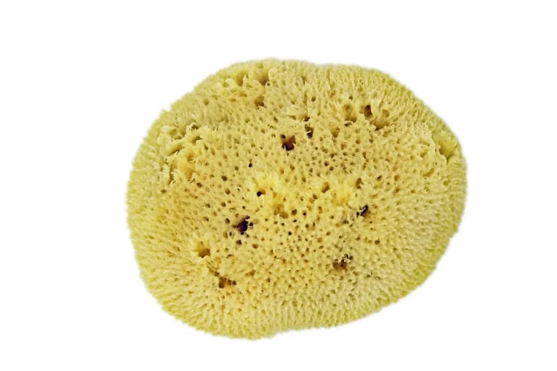 Original product image of unicorn® Naturschwamm aus dem Meer, small (ca 7-8cm)