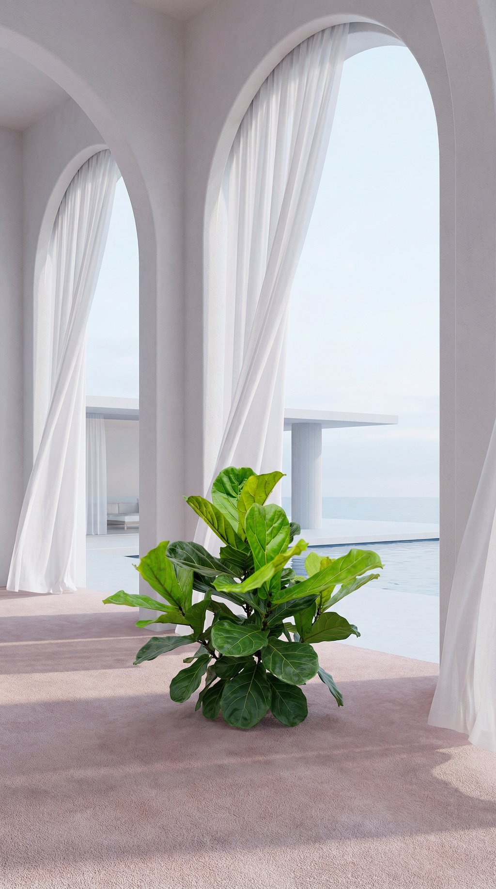 AI product shot of Ficus Lyrata vertakt XXL - 220cm - ø40