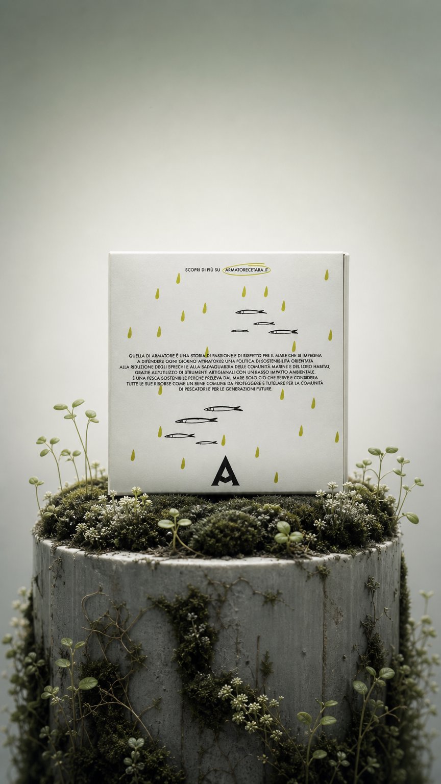 AI product shot of FILETTI DI ALICI IN OLIO