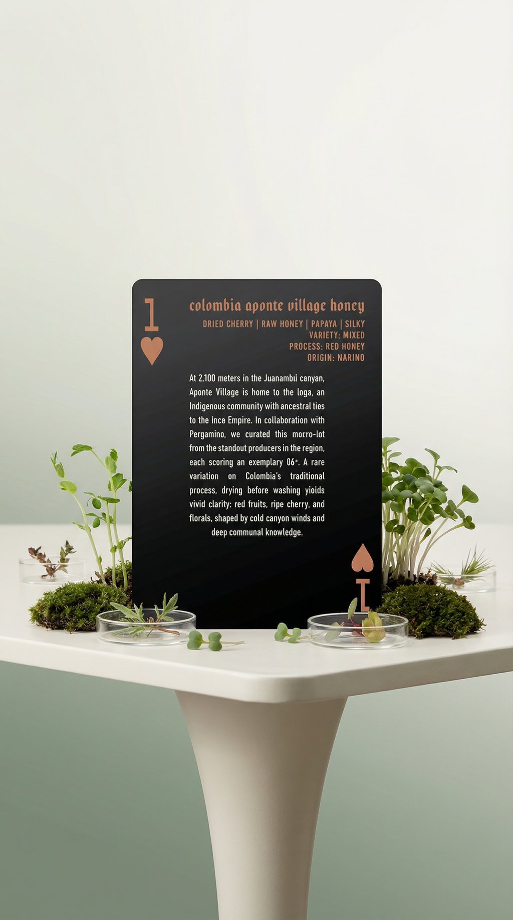 AI product shot of 2025 Onyx Advent