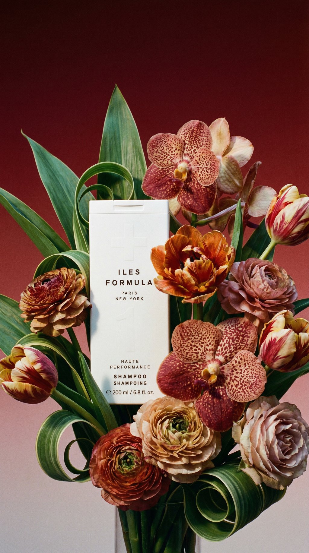 AI product shot of Iles Formula Shampoo