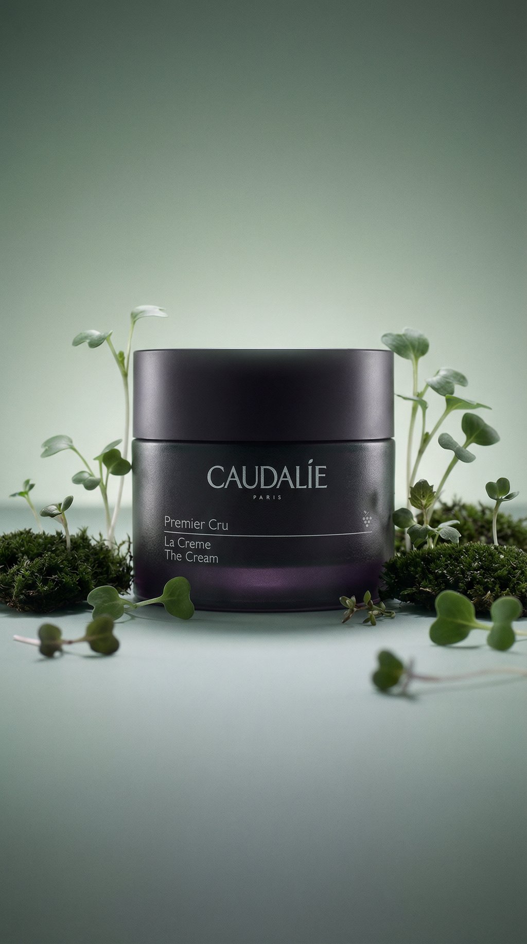 AI product shot of Premier Cru The Cream