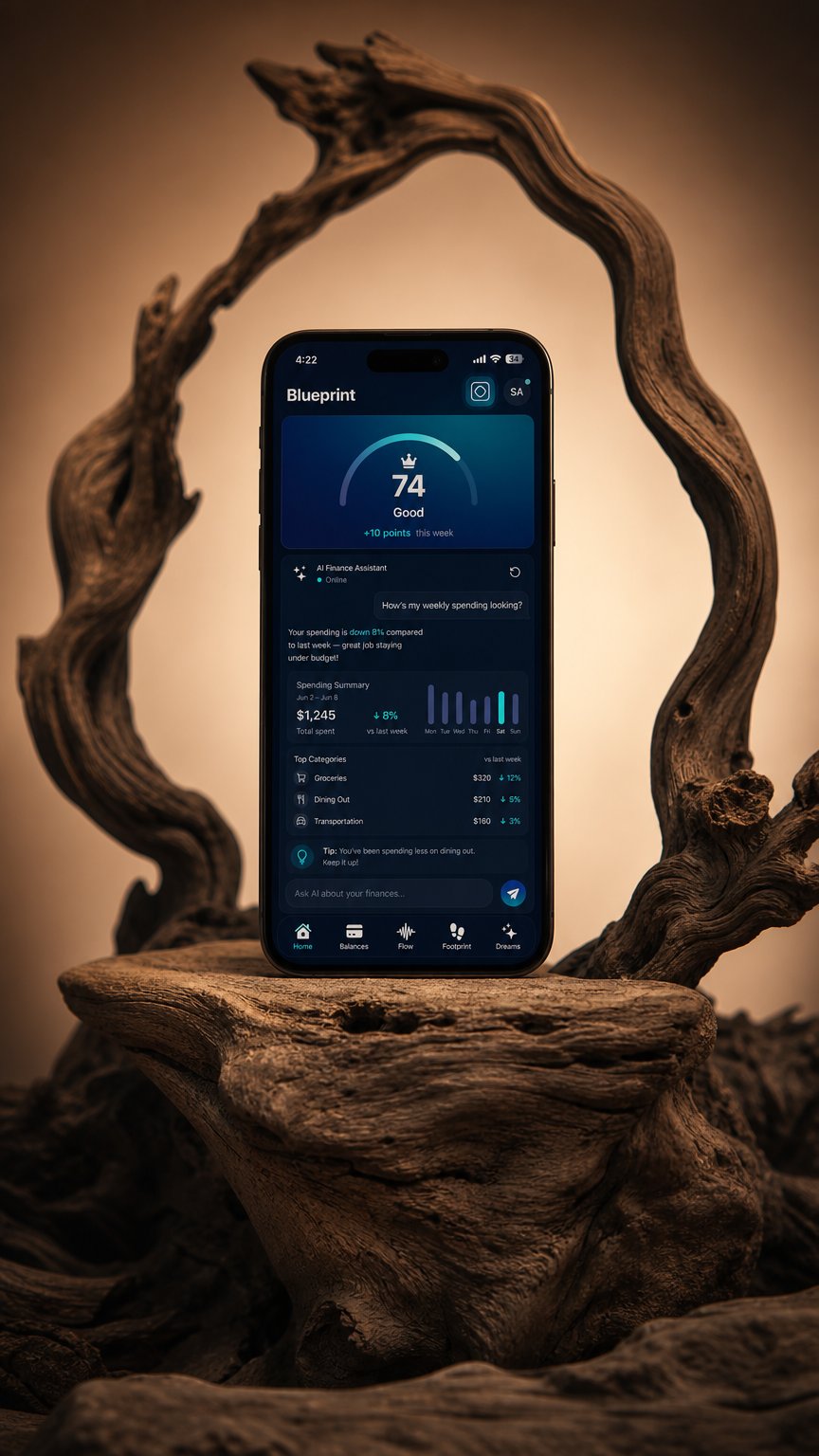 AI product shot of Blueprint Finance App