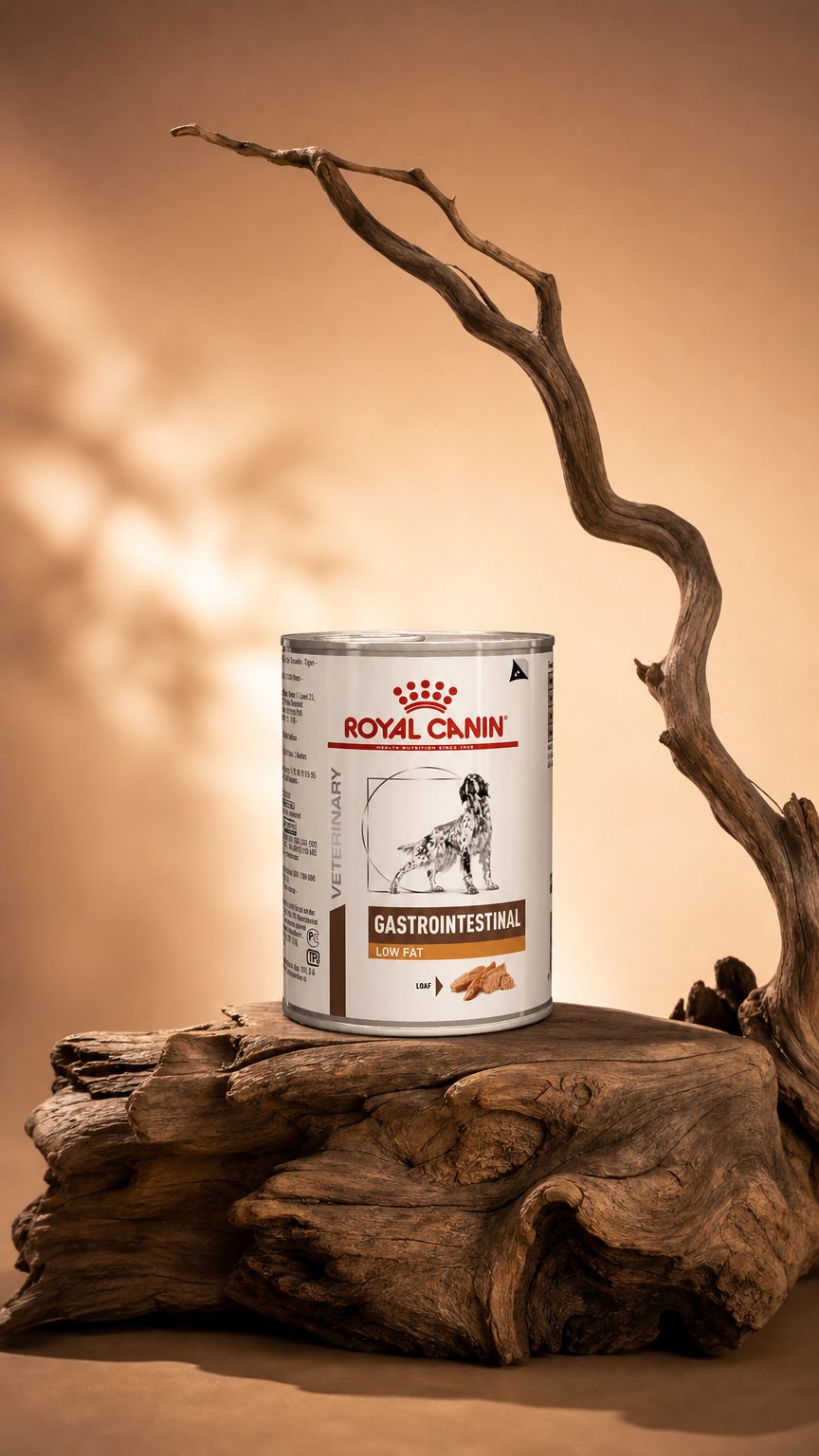 AI product shot of Gastrointestinal Low Fat Can