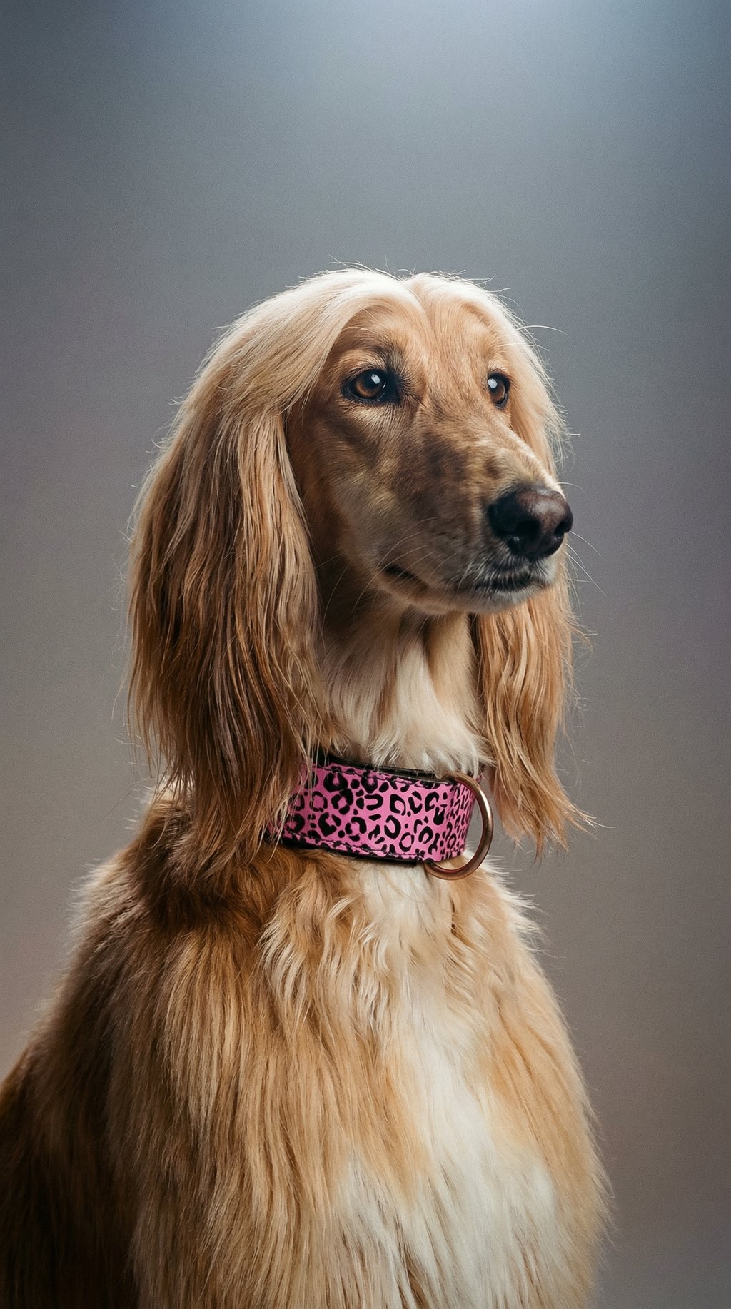 AI product shot of Leopard Pattern Leather Dog Collar Pink and Black