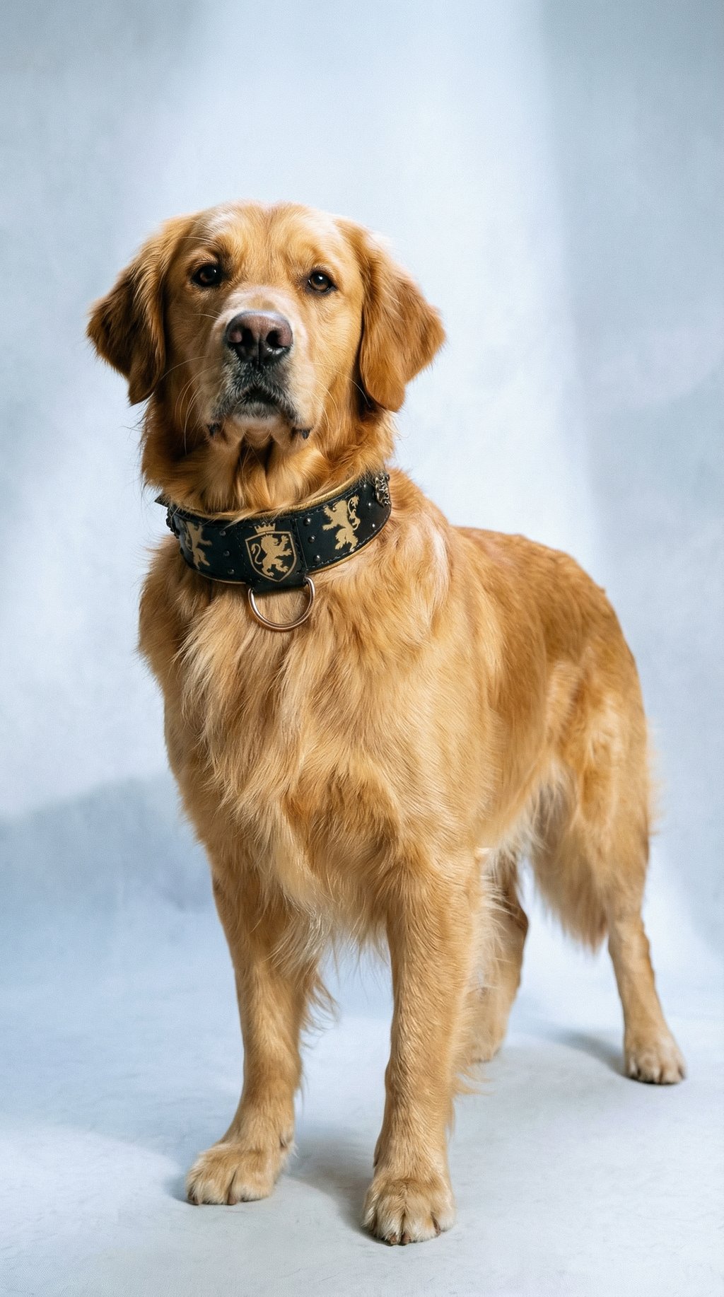 AI product shot of Heraldic Lions Leather Dog Collar