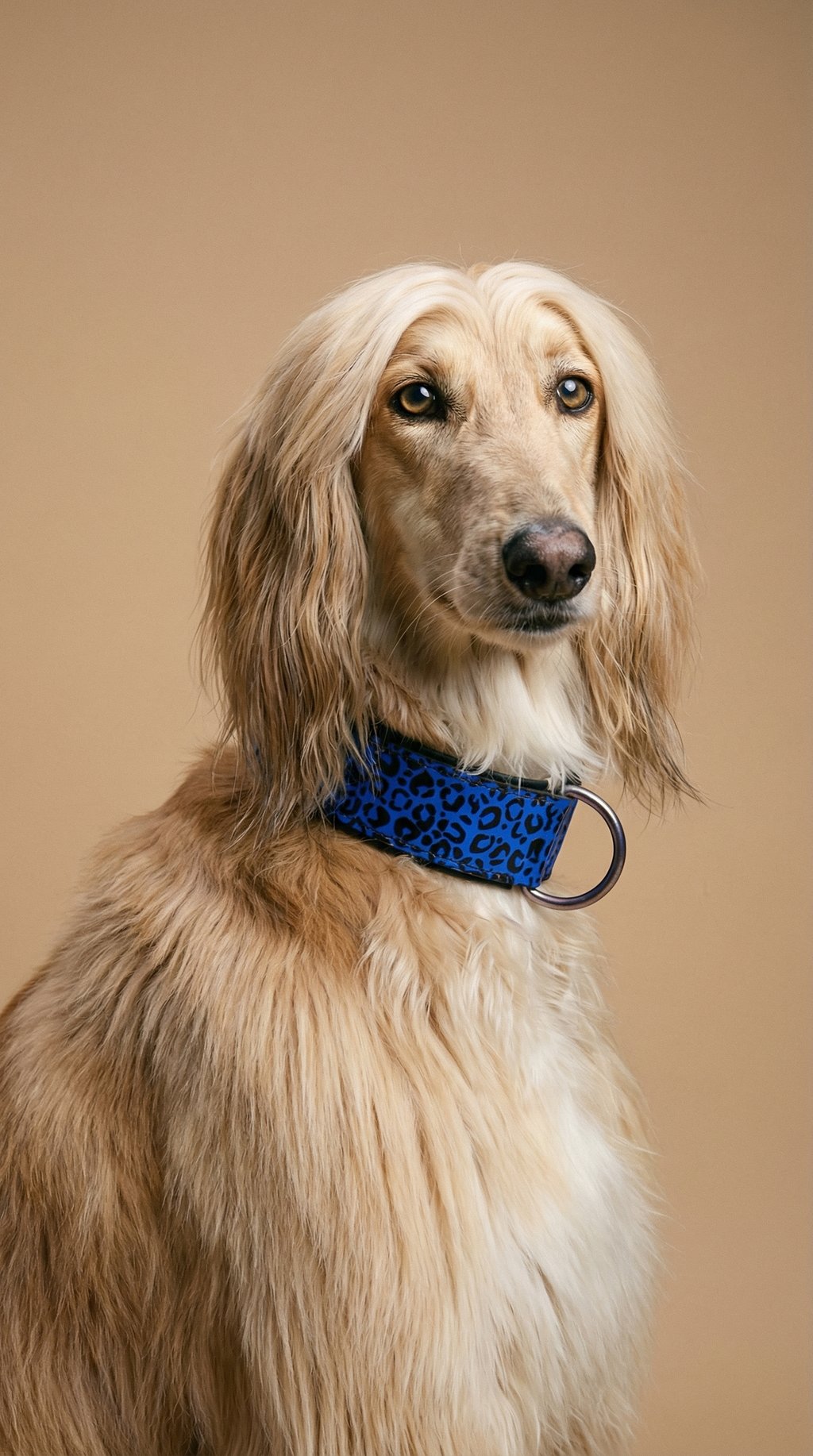 AI product shot of Leopard Pattern Leather Dog Collar Blue and Black