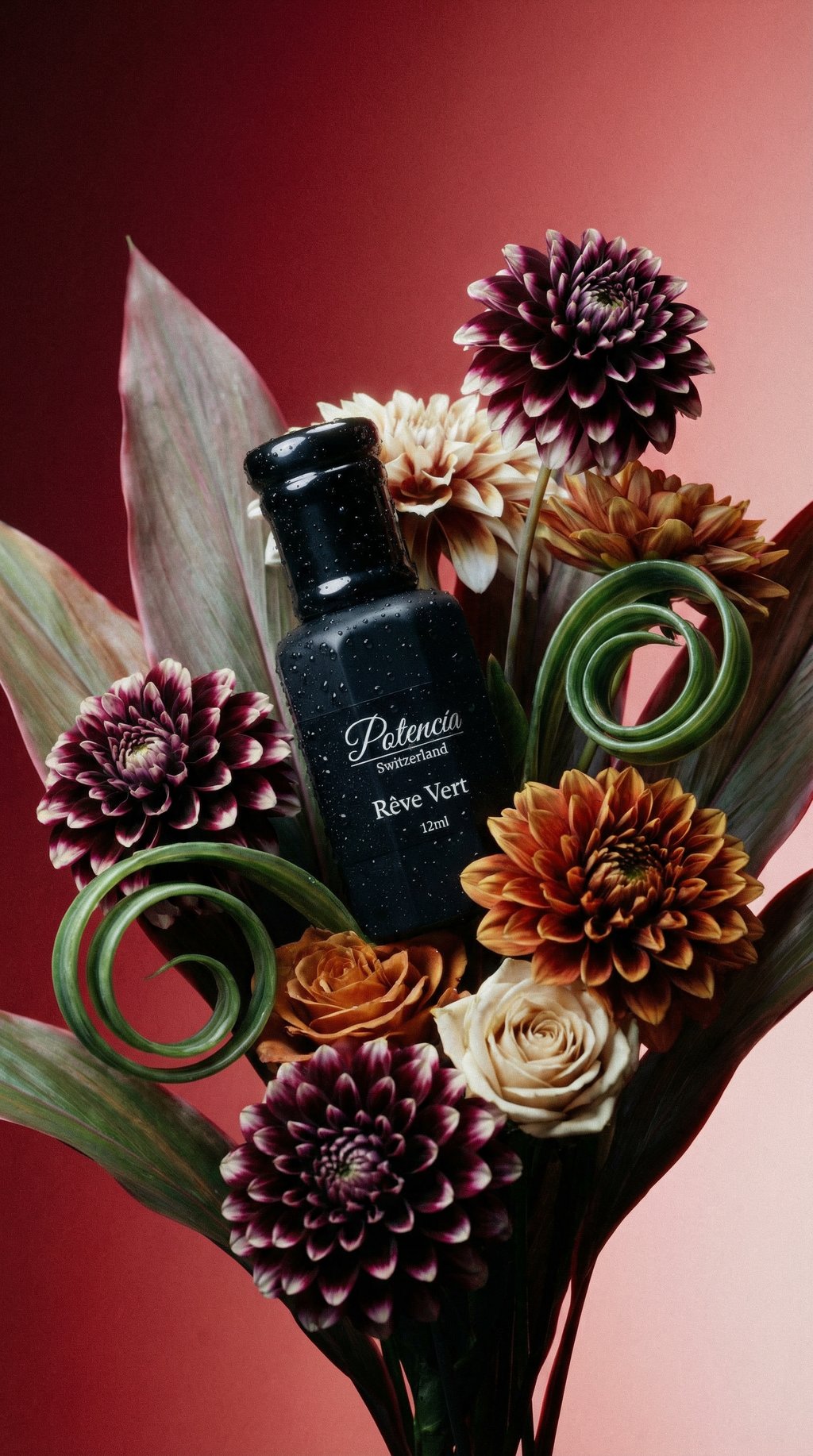 AI product shot of Potencía Rêve Vert 12ml (Unisex)