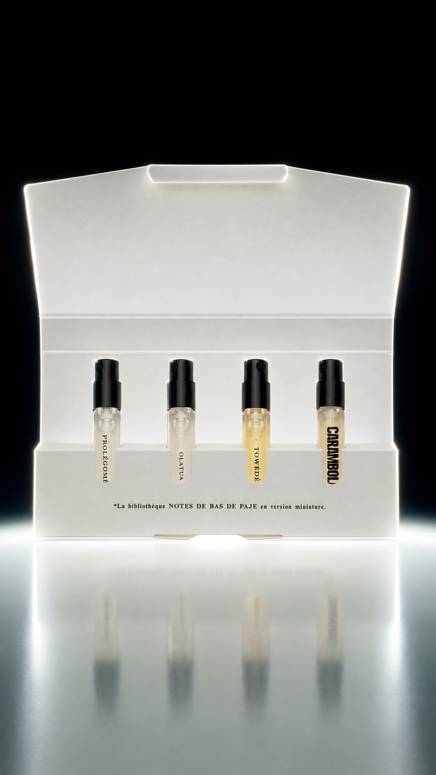 AI product shot of Coffret Découverte - L'intégrale