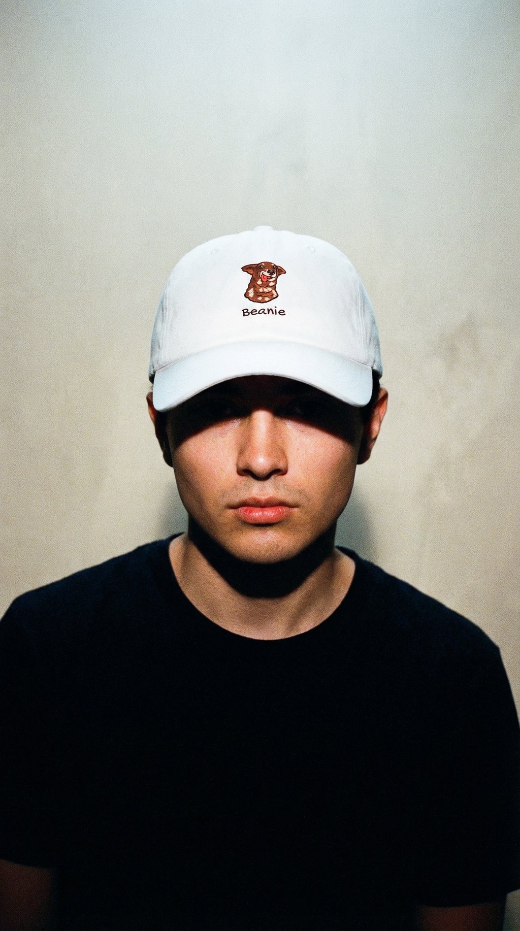 AI product shot of Custom Embroidered Pet Dad hat