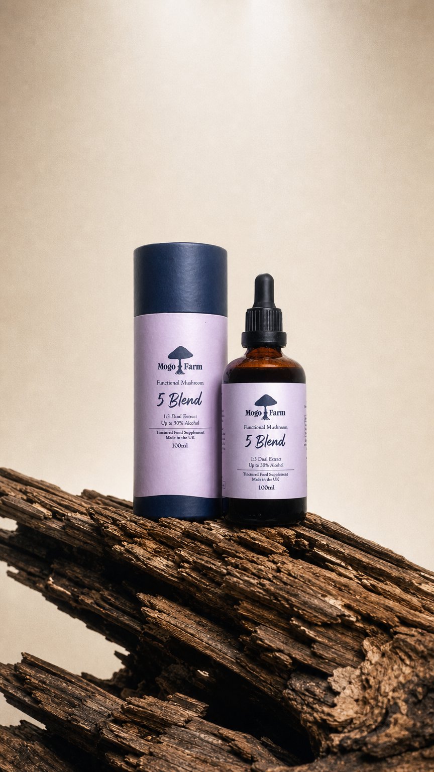 AI product shot of 5 Mushroom Blend Tincture