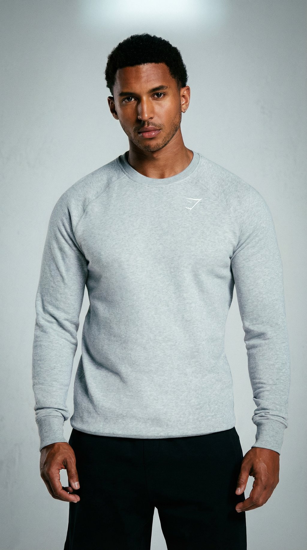 AI product shot of Crest Sweatshirt