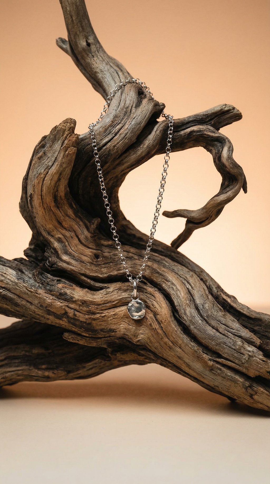 AI product shot of Silver touch kit