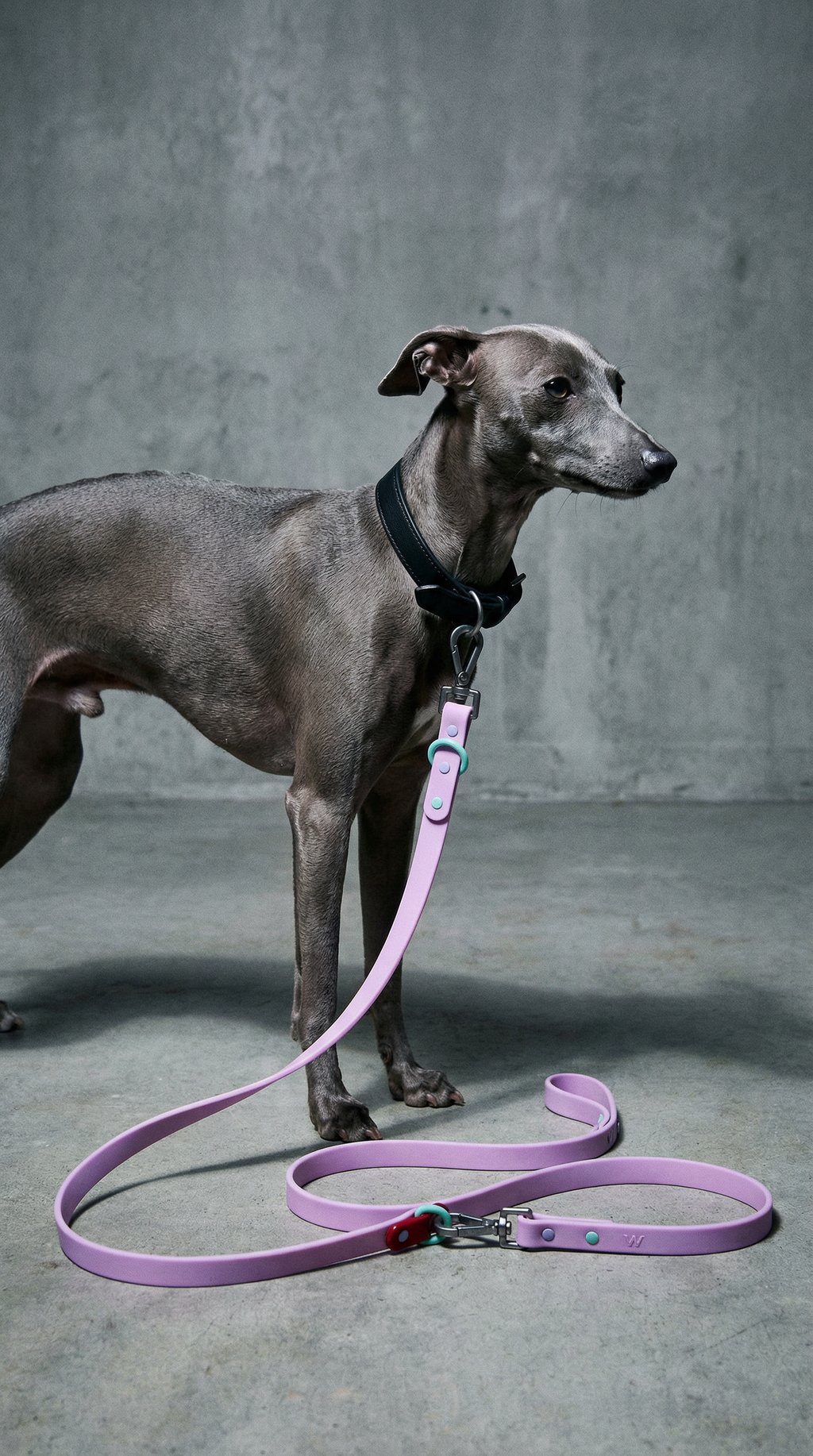 AI product shot of Waterproof Leash