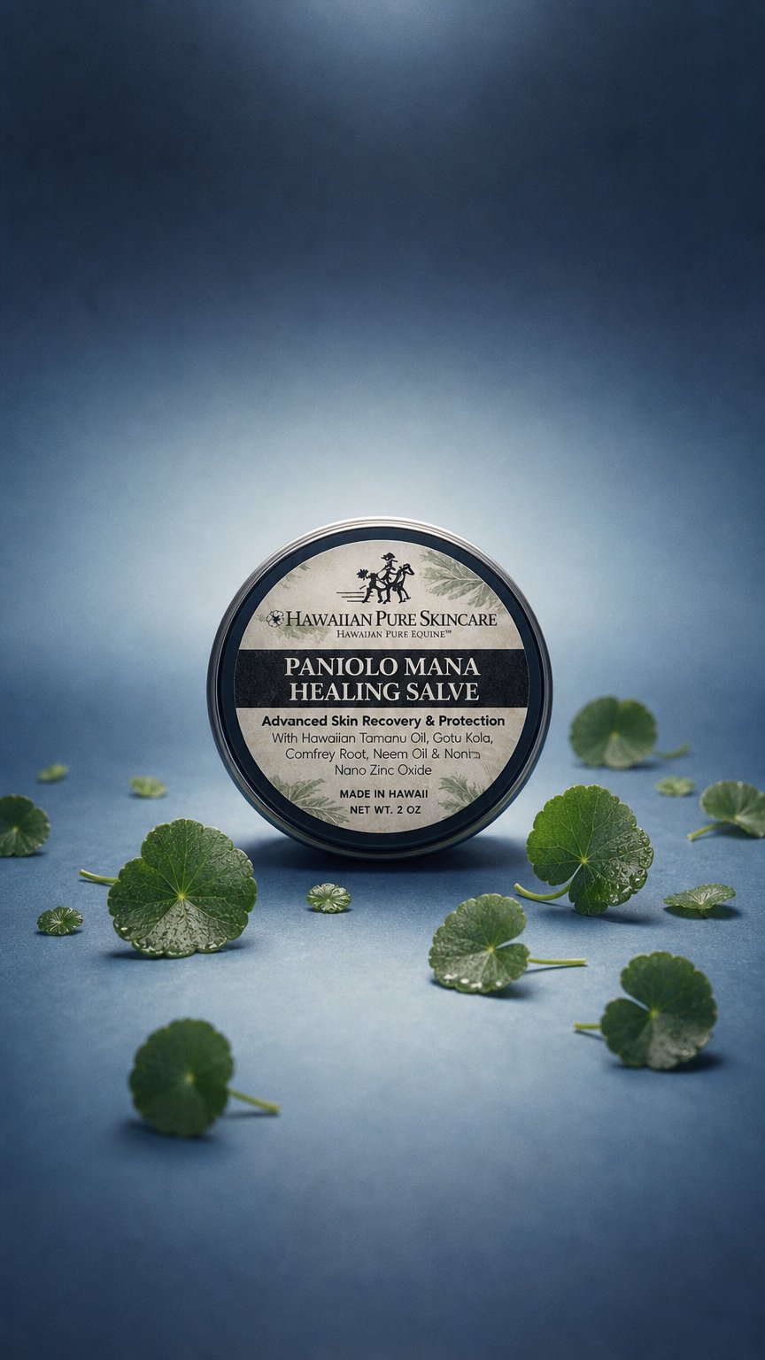 AI product shot of Paniolo Mana Healing Salve