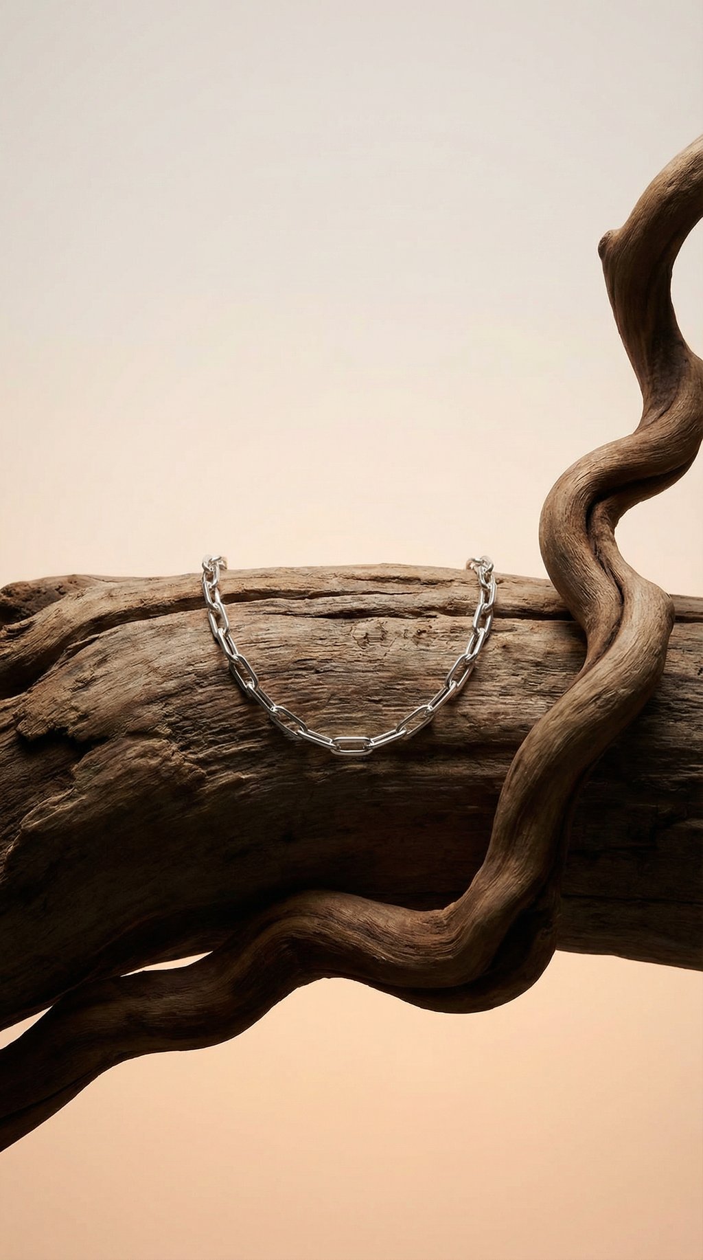 AI product shot of CLIP CHAIN BRACELET IN SILVER