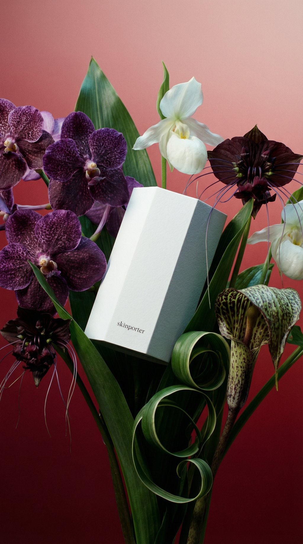 AI product shot of skinporter Kit – O₂ Peptide Facial