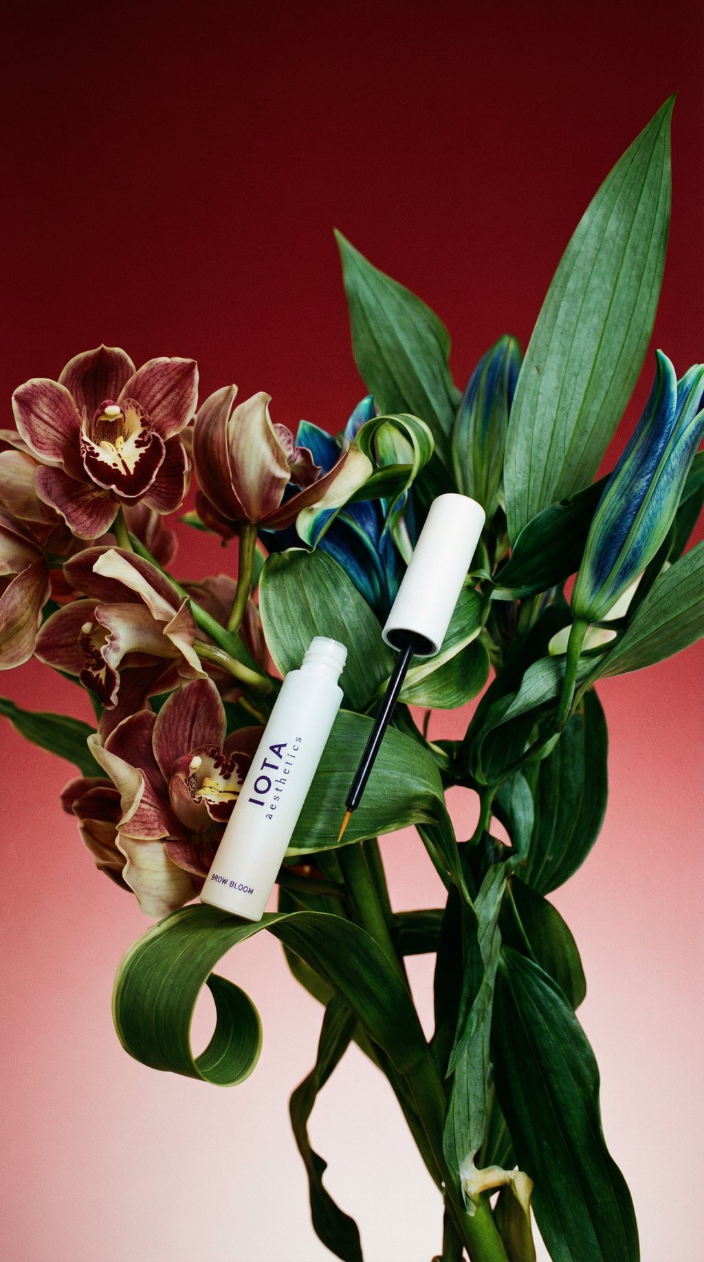 AI product shot of BROW BLOOM // Brow serum