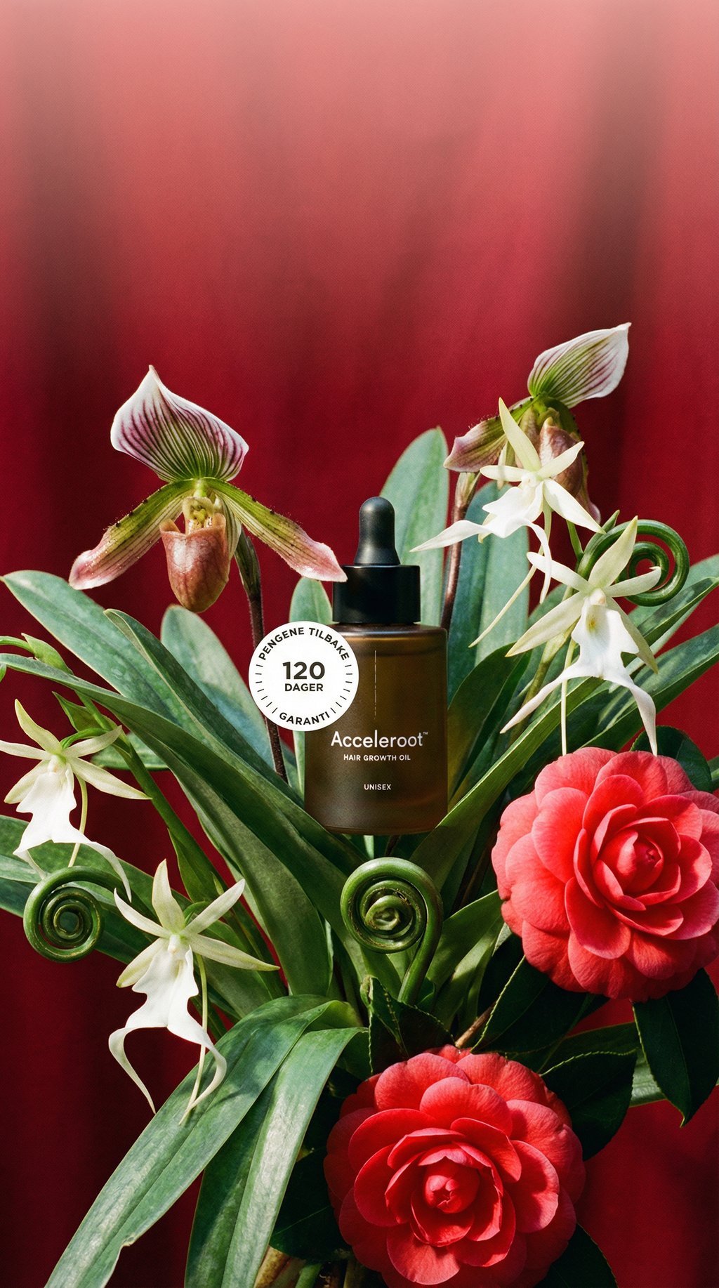 AI product shot of Acceleroot Hair Growth Oil