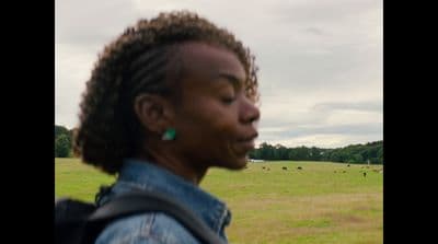 a woman standing in a field with cows in the background