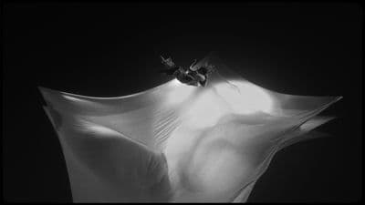 a black and white photo of a flower