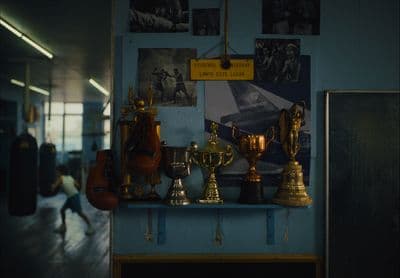 a room with a bunch of trophies on a shelf