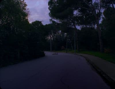 a dark street with trees on both sides