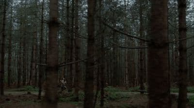 a person riding a bike through a forest