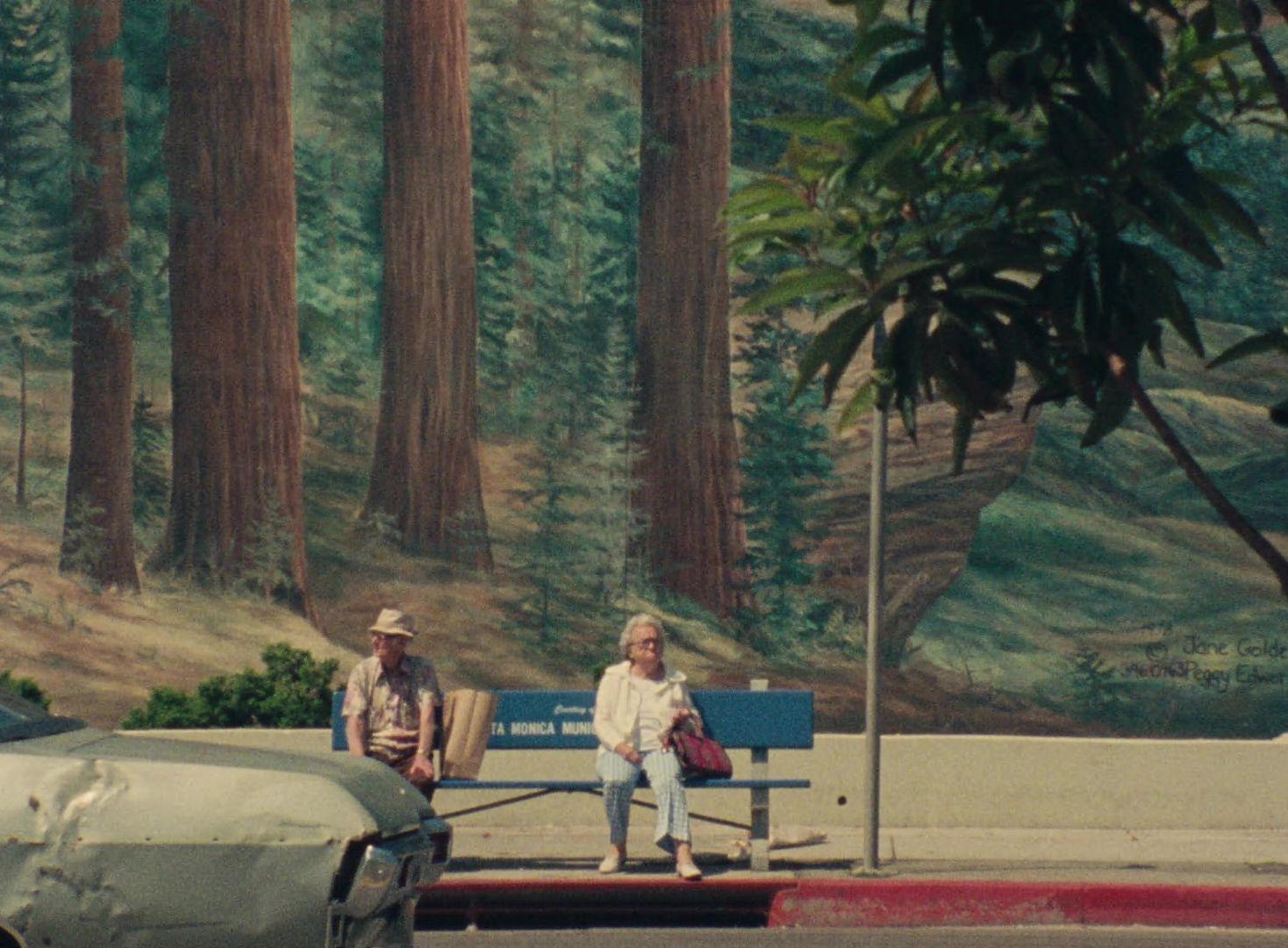 a couple of people sitting on a bench next to a forest