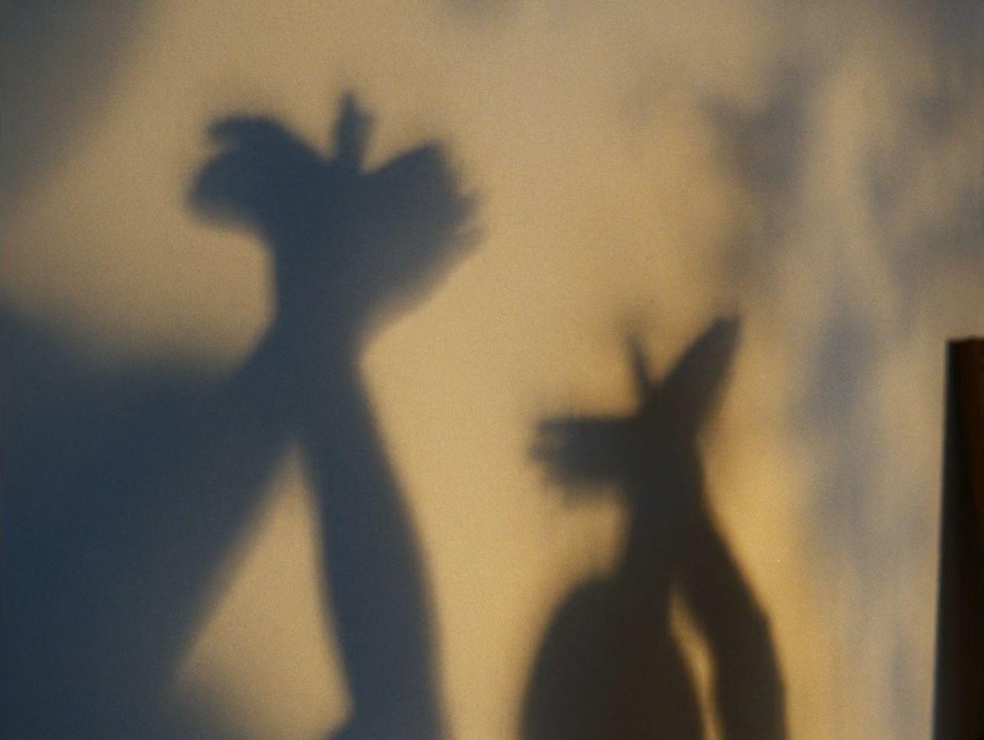 a shadow of two people standing next to each other