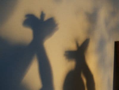 a shadow of two people standing next to each other