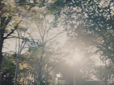 the sun is shining through the trees in the park