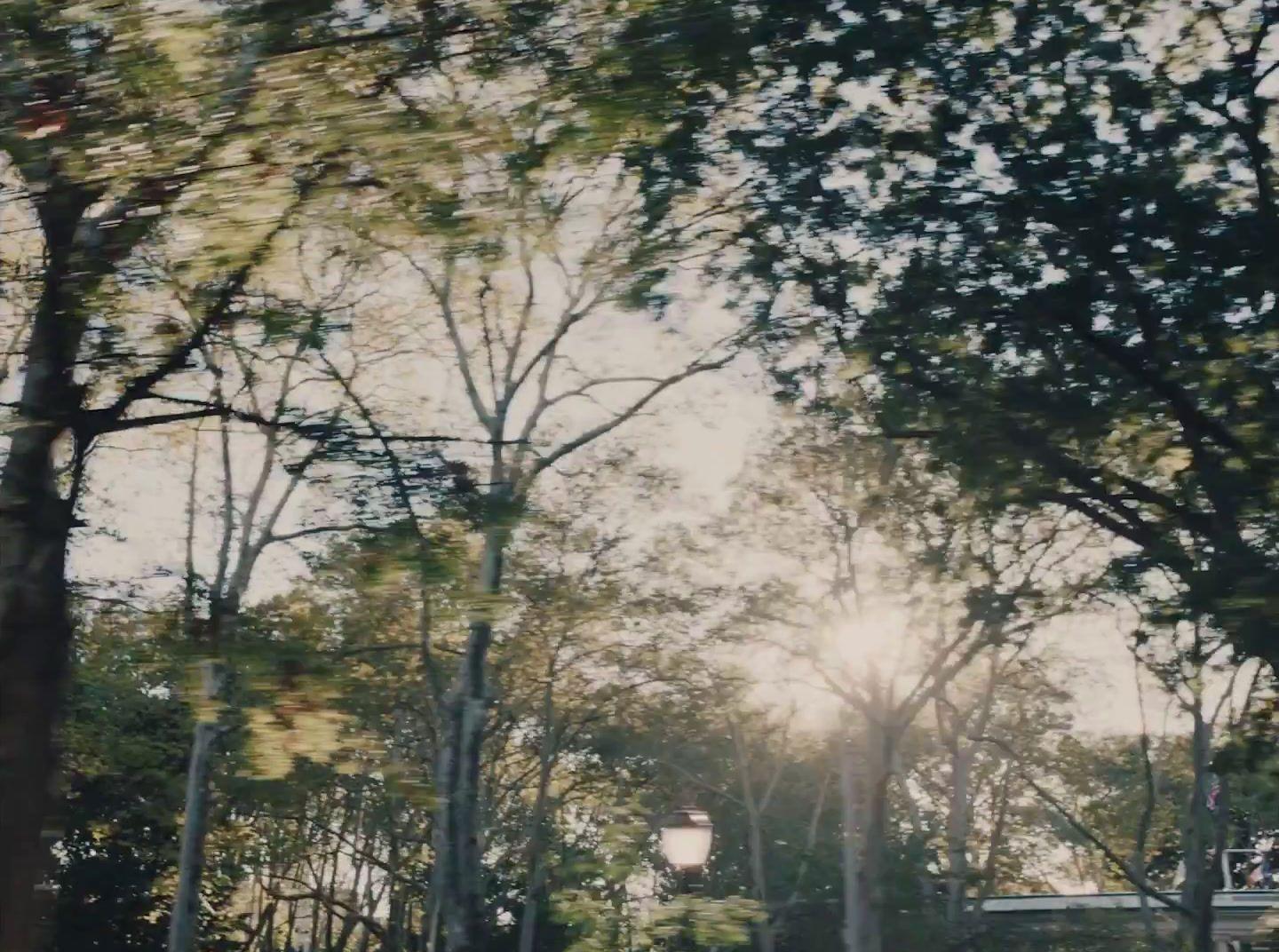 the sun is shining through the trees in the park