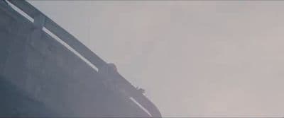a bird flying high up in the sky