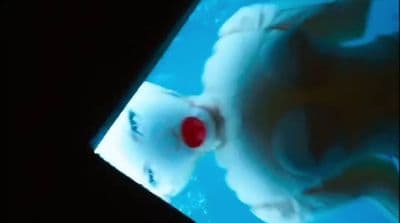 a white cat with a red ball in its mouth