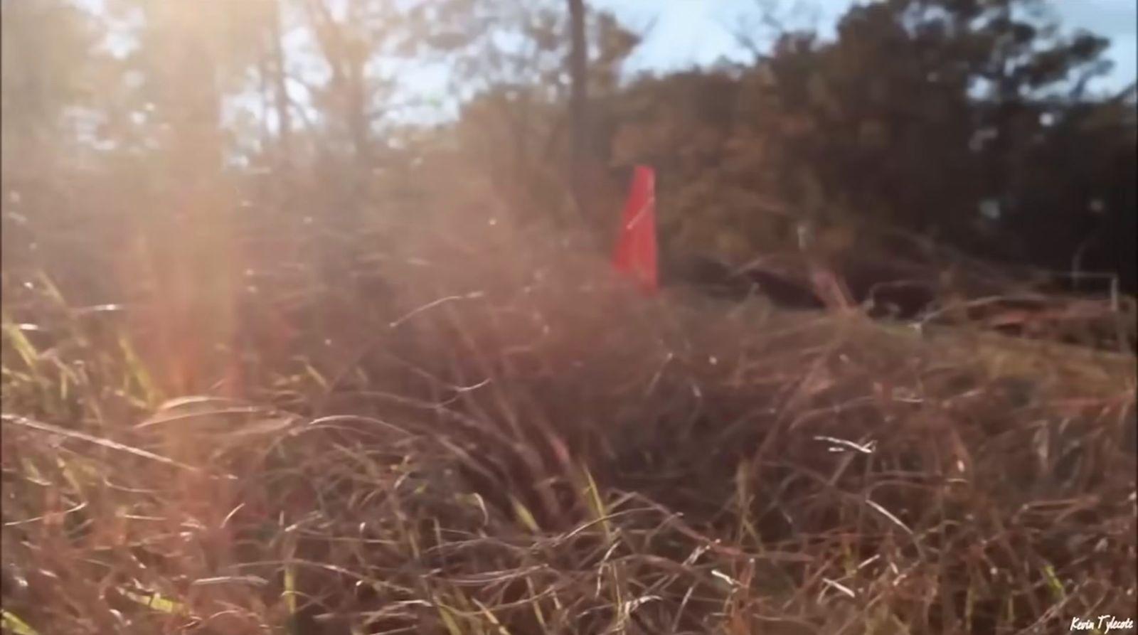 a blurry photo of a red flag in a field
