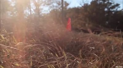 a blurry photo of a red flag in a field