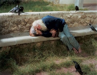 a man is sleeping on a bench with birds around him