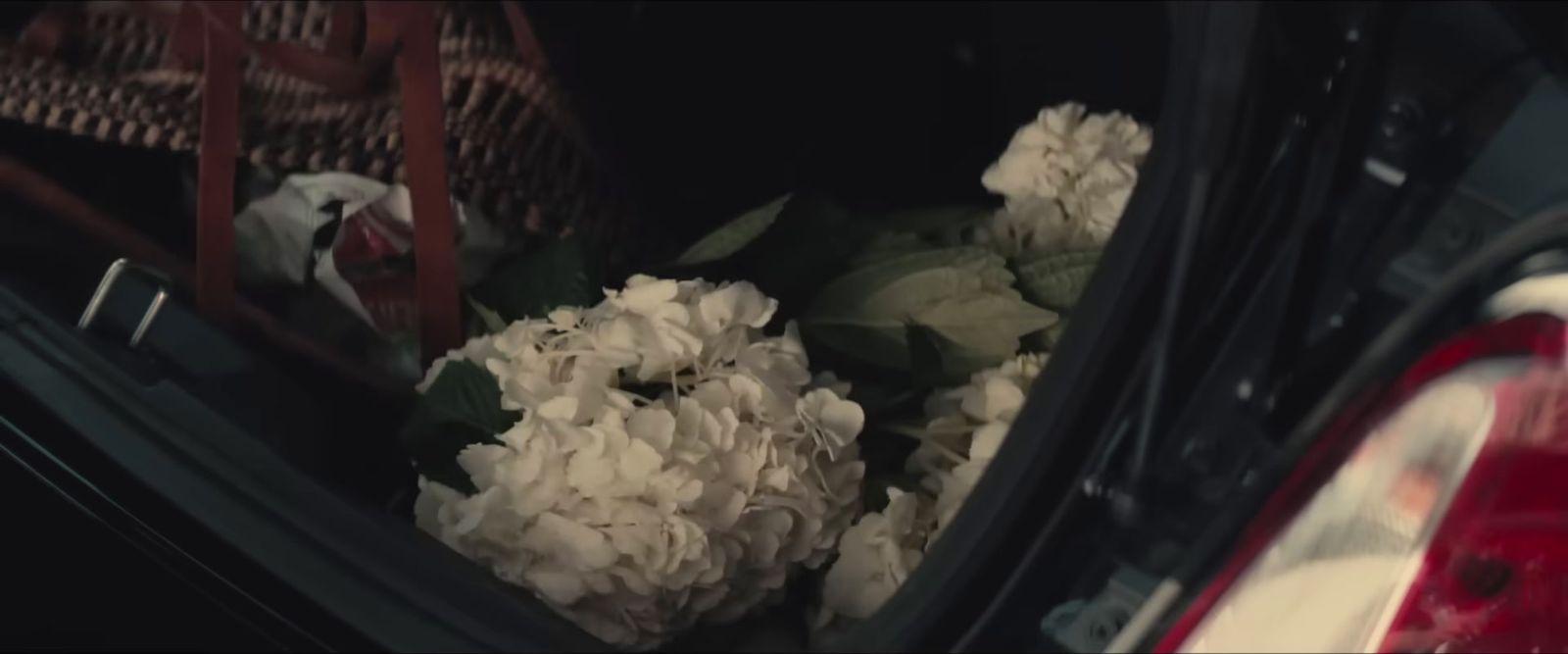 a bunch of flowers sitting in the back of a car